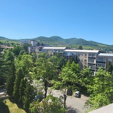 Apartament In Regim Hotelier デヴァ エクステリア 写真