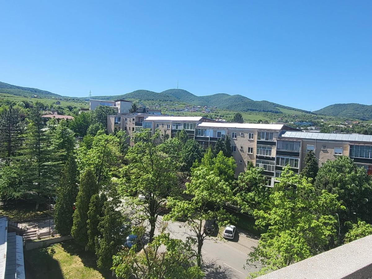 Apartament In Regim Hotelier デヴァ エクステリア 写真